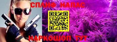 дживик Шелехов