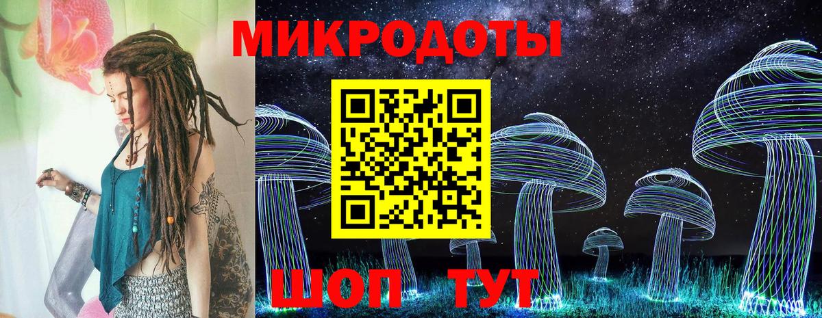 Ачхой-Мартан  Галлюциногенные грибы прущие грибы  Псилоцибиновые грибы ЛСД  Вход с VPN 